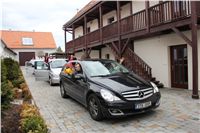 Chti_dostihy_April_Cup_2012_Czech_Greyhound_Racing_Federation_IMG_4257.JPG