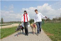 Chti_dostihy_April_Cup_2012_Czech_Greyhound_Racing_Federation_IMG_4406.JPG