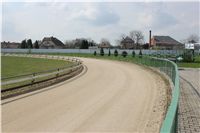 Chti_dostihy_April_Cup_2012_Czech_Greyhound_Racing_Federation_IMG_4409.JPG