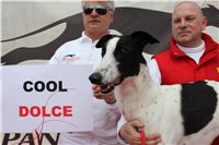 Chti_dostihy_April_Cup_2012_Czech_Greyhound_Racing_Federation_IMG_4630.JPG