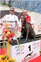 Chti_dostihy_April_Cup_2012_Czech_Greyhound_Racing_Federation_IMG_4673.JPG