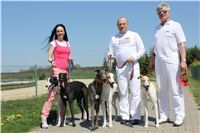 Big_Daddy_Cool_na_scenu_Ceska_greyhound_dostihova_federace_IMG_5090.JPG