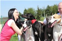 Big_Daddy_Cool_na_scenu_Ceska_greyhound_dostihova_federace_IMG_5112.JPG