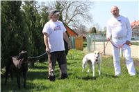 Big_Daddy_Cool_na_scenu_Ceska_greyhound_dostihova_federace_IMG_5146.JPG