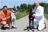 Big_Daddy_Cool_na_scenu_Ceska_greyhound_dostihova_federace_IMG_5163.JPG