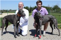 Big_Daddy_Cool_na_scenu_Ceska_greyhound_dostihova_federace_IMG_5182.JPG