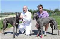 Big_Daddy_Cool_na_scenu_Ceska_greyhound_dostihova_federace_IMG_5185.jpg