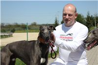 Big_Daddy_Cool_na_scenu_Ceska_greyhound_dostihova_federace_IMG_5186.JPG