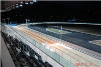 Greyhound_Park_Motol_Praha_osvetleni_CGDF_DSC02365.JPG