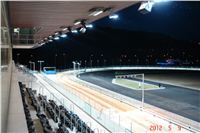 Greyhound_Park_Motol_Praha_osvetleni_CGDF_DSC02366.jpg