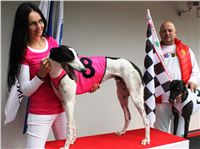 Winner_Dolce_Czech_Greyhound_Racing_Federation_IMG_0229.jpg