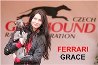 Czech_Grand_Prix_Ceska_greyhound_dostihova_federace_NQ1M0325-U.jpg