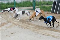 Czech_Grand_Prix_Ceska_greyhound_dostihova_federace_IMG_5525.JPG