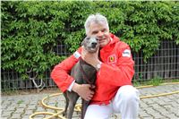 Czech_Grand_Prix_Ceska_greyhound_dostihova_federace_IMG_5540.JPG