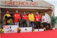 Czech_Grand_Prix_Ceska_greyhound_dostihova_federace_IMG_5649.JPG