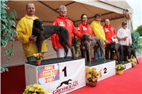 Czech_Grand_Prix_Ceska_greyhound_dostihova_federace_IMG_5663.jpg