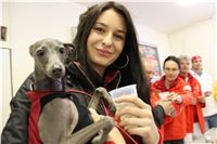 Czech_Grand_Prix_Ceska_greyhound_dostihova_federace_IMG_5687.JPG