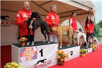 Czech_Grand_Prix_Ceska_greyhound_dostihova_federace_IMG_5708.jpg