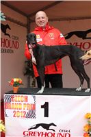 Czech_Grand_Prix_Ceska_greyhound_dostihova_federace_IMG_5727.JPG