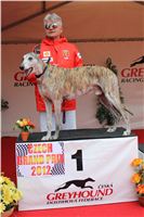 Czech_Grand_Prix_Ceska_greyhound_dostihova_federace_IMG_5762.JPG