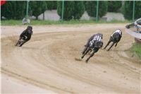 Czech_Grand_Prix_Ceska_greyhound_dostihova_federace_NQ1M0009.JPG