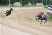 Czech_Grand_Prix_Ceska_greyhound_dostihova_federace_NQ1M0011.JPG