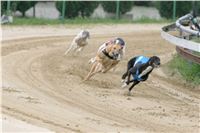 Czech_Grand_Prix_Ceska_greyhound_dostihova_federace_NQ1M0052.JPG