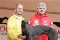 Czech_Grand_Prix_Ceska_greyhound_dostihova_federace_NQ1M0224.JPG