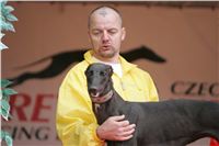 Czech_Grand_Prix_Ceska_greyhound_dostihova_federace_NQ1M0227.jpg