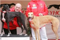 Czech_Grand_Prix_Ceska_greyhound_dostihova_federace_NQ1M0280.JPG