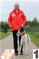 Dolce_Czech_Grand_Prix_Ceska_greyhound_dostihova_federace_IMG_5584-u.jpg