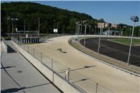 Testovani_chrti_zavodni_drahy_Ceska_greyhound_dostihova_federace_DSC04188.jpg