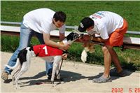 Red_Mills_Cup_2012_Czech_Greyhound_Racing_Federation_DSC04469_u.JPG