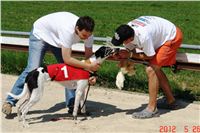 Red_Mills_Cup_2012_Czech_Greyhound_Racing_Federation_DSC04469_u.JPG
