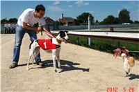 Red_Mills_Cup_2012_Czech_Greyhound_Racing_Federation_DSC04475_u.JPG
