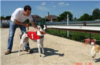 Red_Mills_Cup_2012_Czech_Greyhound_Racing_Federation_DSC04477_u.JPG