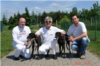 Red_Mills_Cup_2012_Czech_Greyhound_Racing_Federation_DSC04494_u.JPG