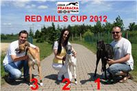 Red_Mills_Cup_2012_Czech_Greyhound_Racing_Federation_DSC04500.jpg