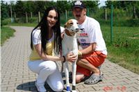 Red_Mills_Cup_2012_Czech_Greyhound_Racing_Federation_DSC04504_u.JPG