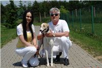 Red_Mills_Cup_2012_Czech_Greyhound_Racing_Federation_DSC04516_u.JPG