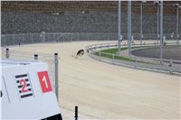 test_Greyhound_Park_Motol_Czech_Greyhound_Racing_Federation_IMG_5842.jpg