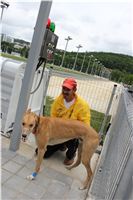 test_Greyhound_Park_Motol_Czech_Greyhound_Racing_Federation_IMG_5873.jpg