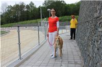 test_Greyhound_Park_Motol_Czech_Greyhound_Racing_Federation_IMG_5926.jpg
