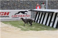 test_Greyhound_Park_Motol_Czech_Greyhound_Racing_Federation_IMG_5968.jpg