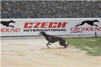 test_Greyhound_Park_Motol_Czech_Greyhound_Racing_Federation_IMG_5969.jpg