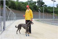test_Greyhound_Park_Motol_Czech_Greyhound_Racing_Federation_IMG_5977.jpg