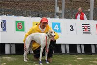 test_Greyhound_Park_Motol_Czech_Greyhound_Racing_Federation_IMG_6038.jpg