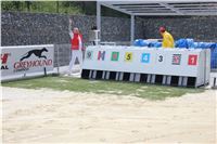 test_Greyhound_Park_Motol_Czech_Greyhound_Racing_Federation_IMG_6069.jpg