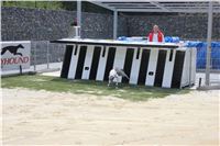 test_Greyhound_Park_Motol_Czech_Greyhound_Racing_Federation_IMG_6076.jpg