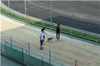 08_Tv_audio_video_Greyhound_Park_Motol_Czech_Greyhound_Racing_Federation_DSC07487.JPG